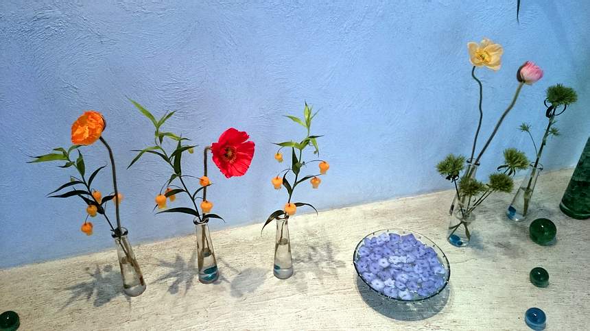 
 
zarte Blumen mit seidigen Blütenblättern: Mohn und Sandersonia

